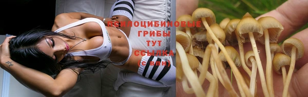 таблы Бородино