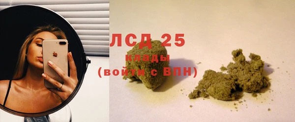 таблы Бородино